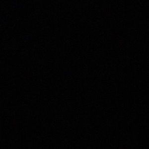 Meet your Posher, Moises